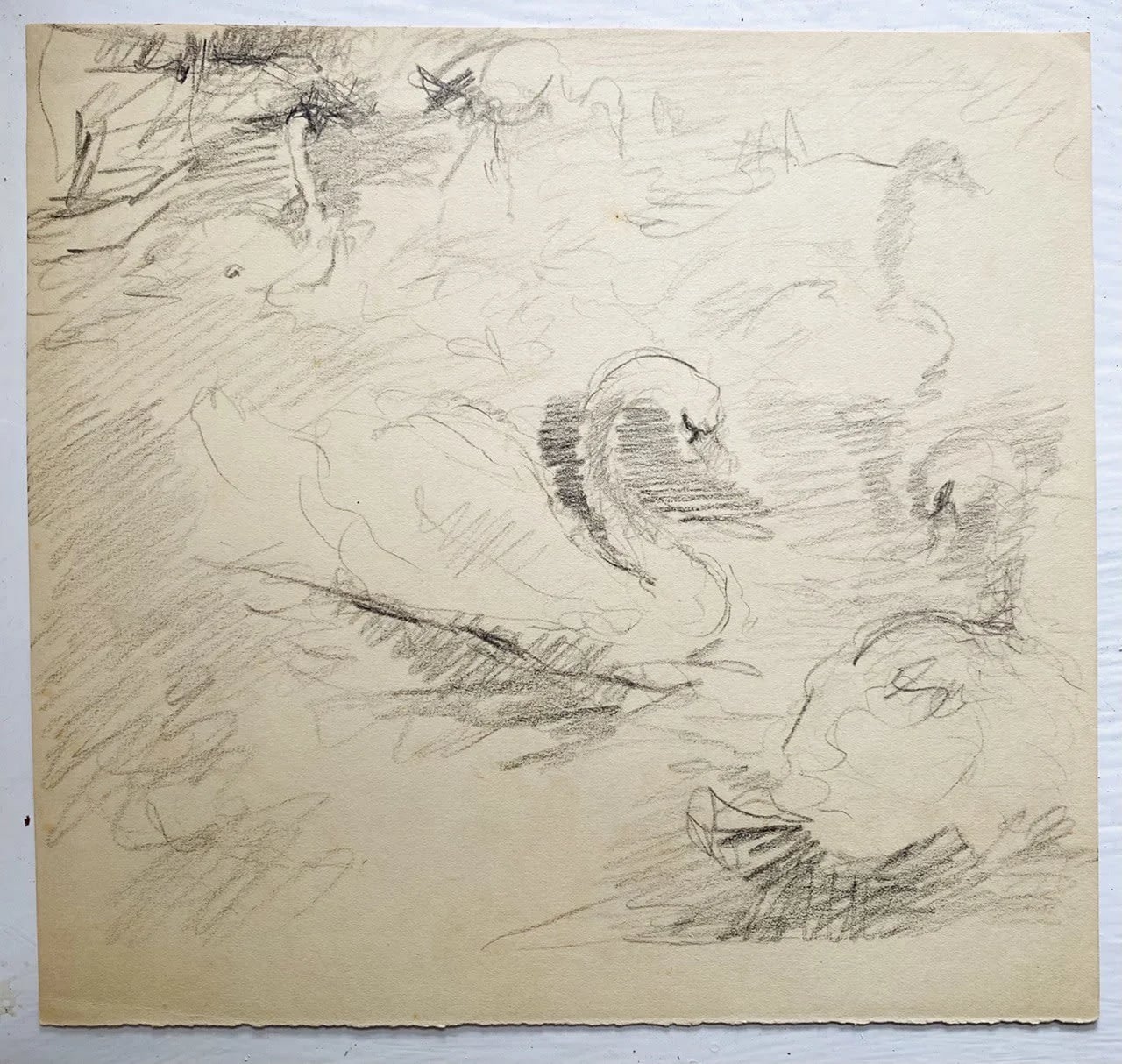 Лебединое озеро. Аскания-нова