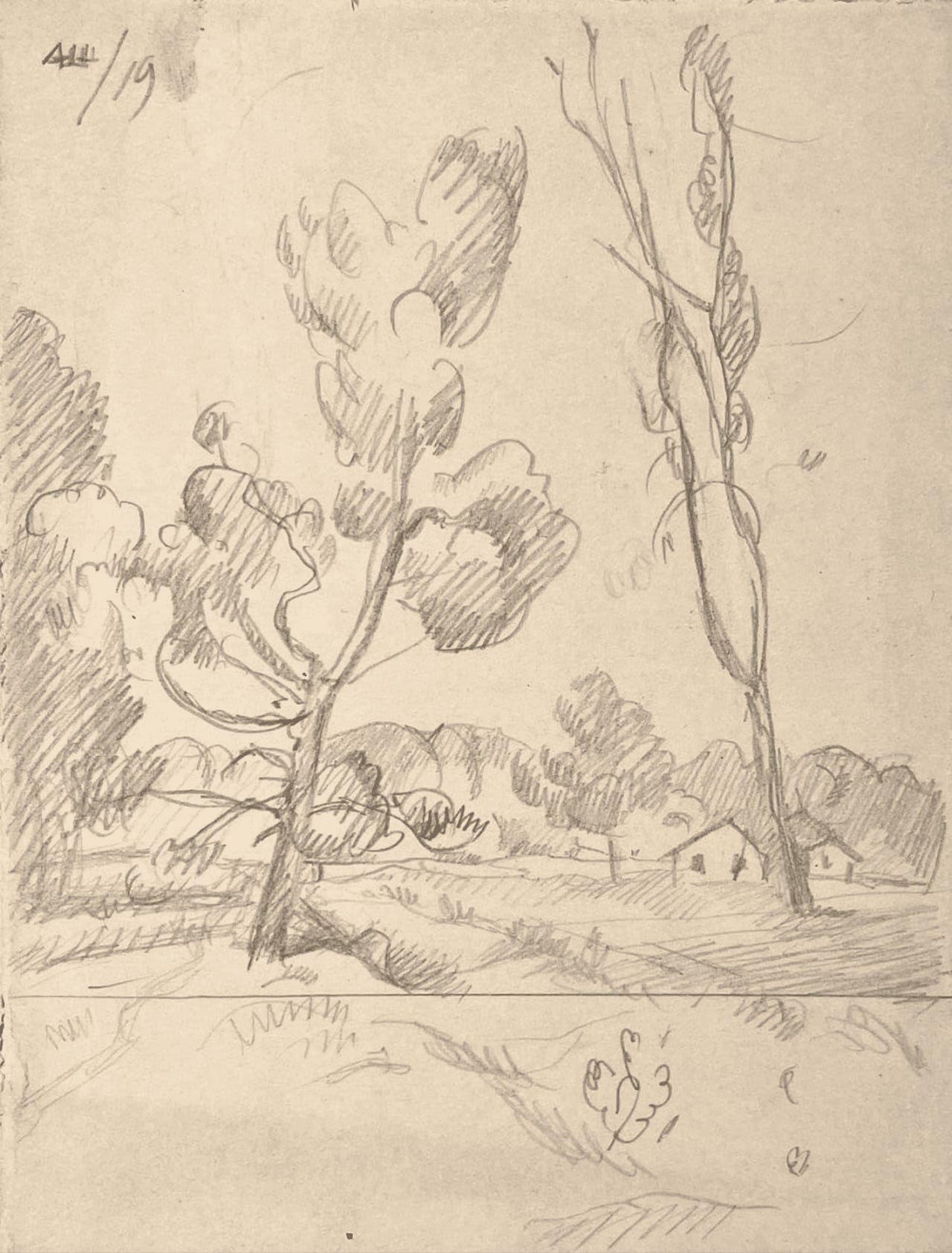 Два сколненных дерева